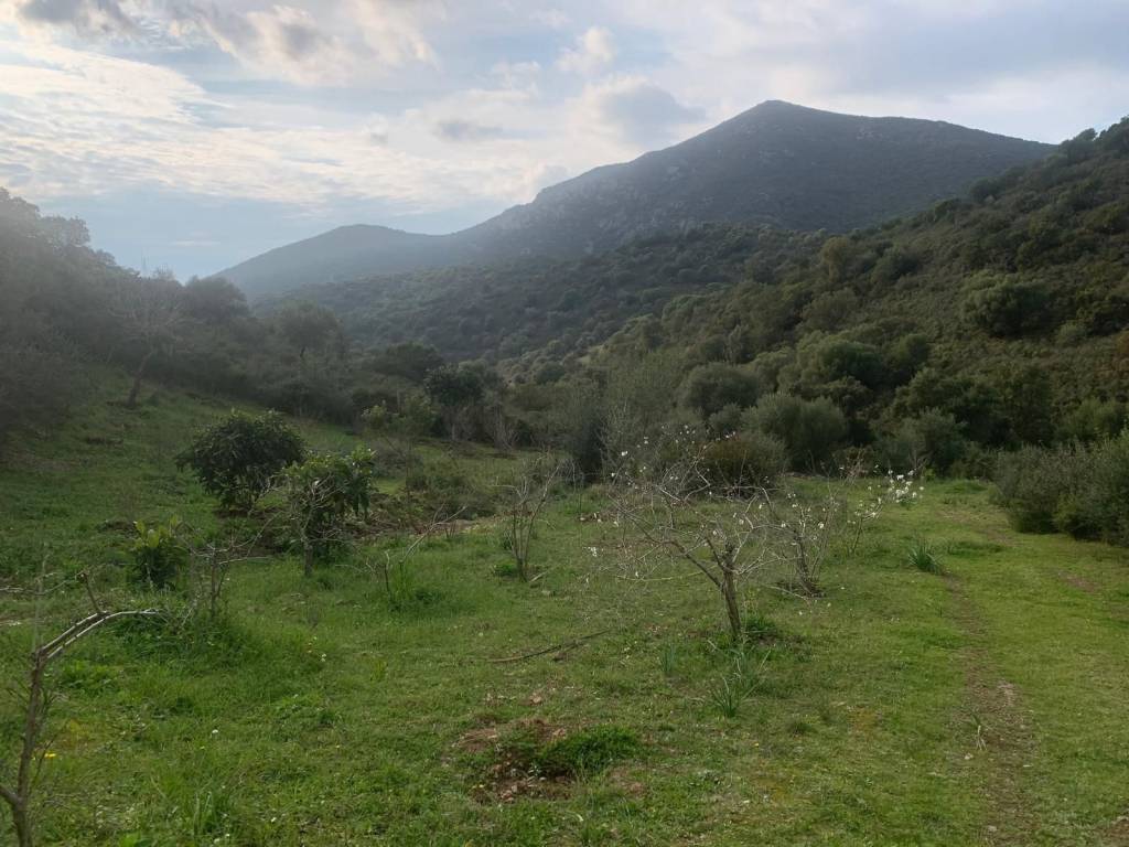 Terreno a Dolianova in Via Soleminis - Foto 3