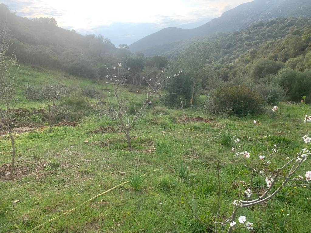 Terreno a Dolianova in Via Soleminis - Foto 4
