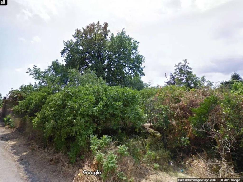 Terreno a Giarre in Via Delle Zagare No Number - Foto 2