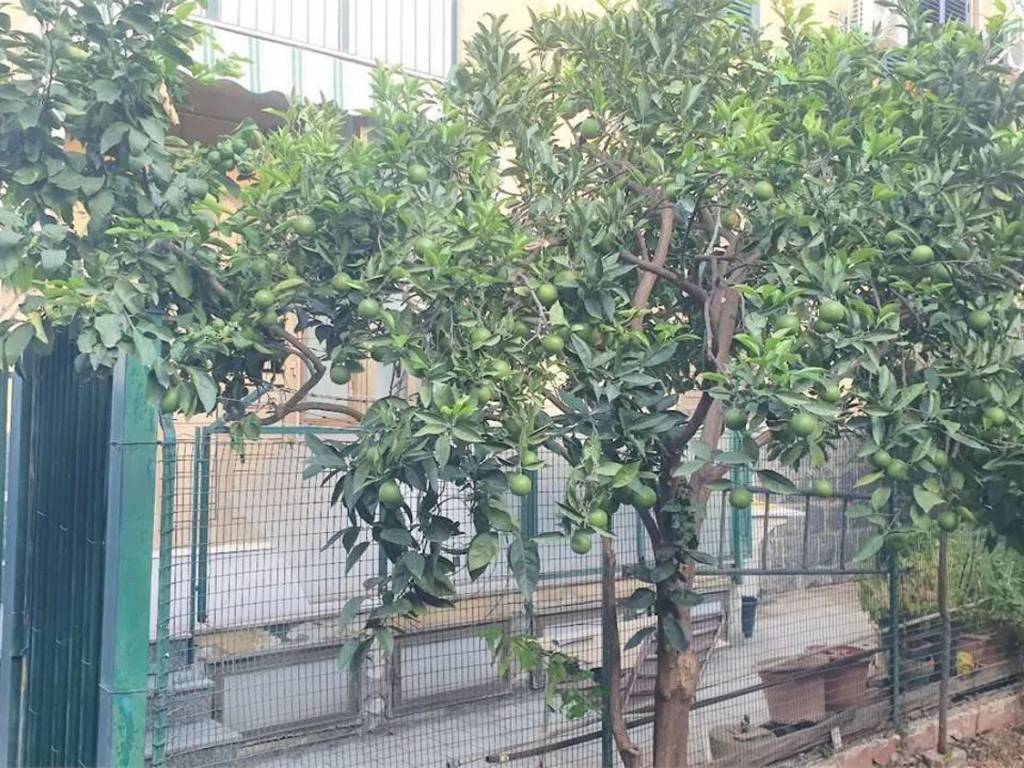 Appartamento a Giarre in Via Guglielmo Oberdan, 26 - Foto 3