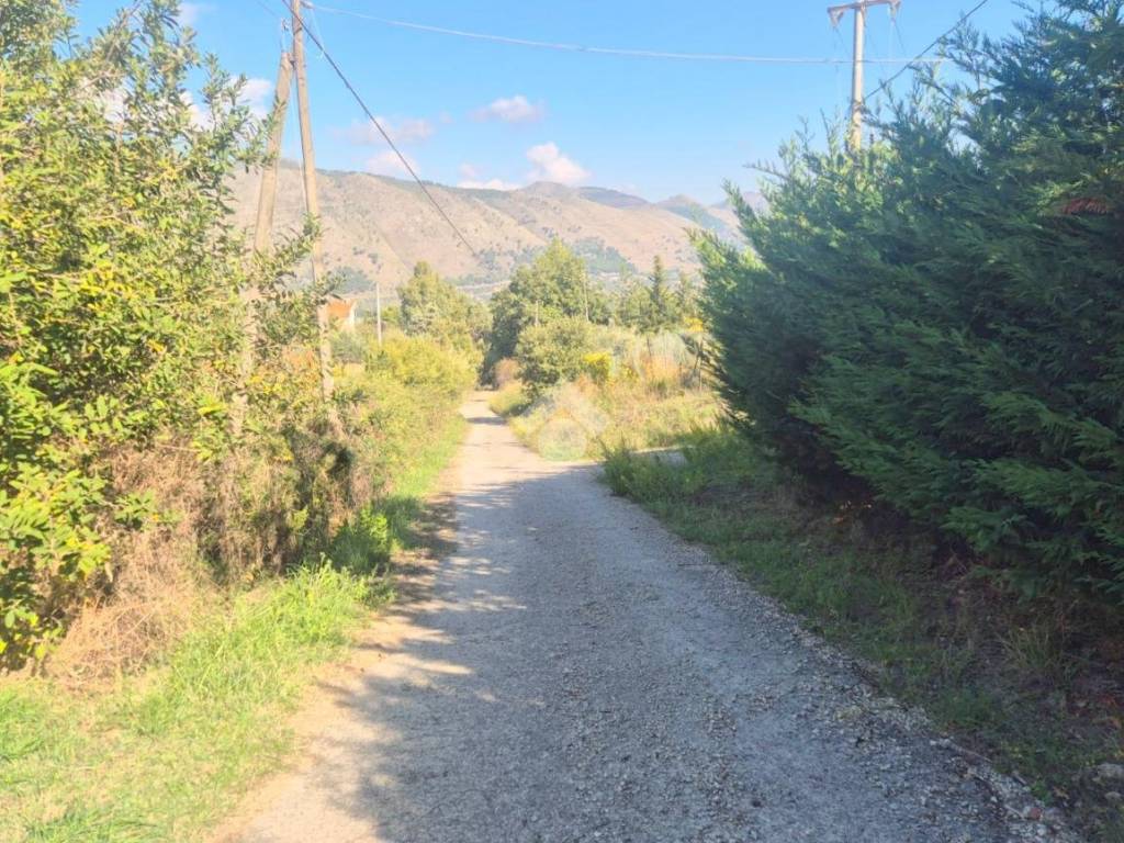 Terreno a Monreale in Via rosalia sinibaldi - Foto 4