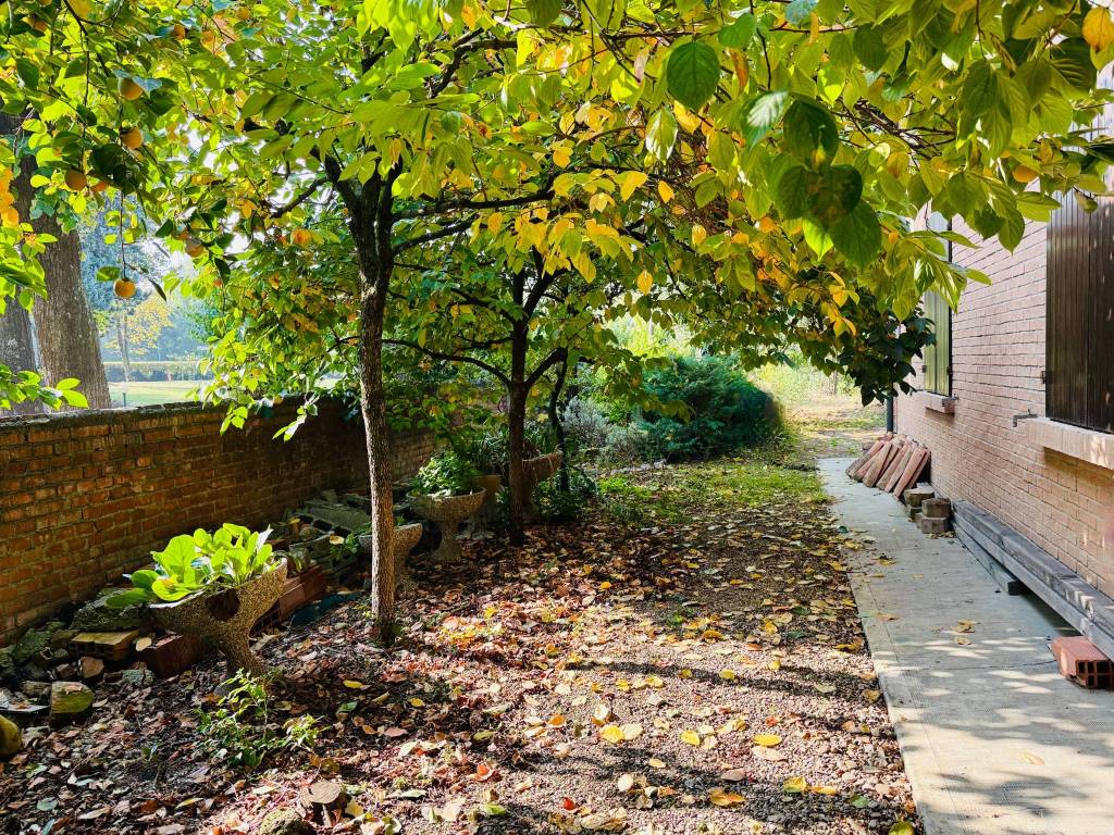 Villa a Scandiano in Via Venere di Chiozza - Foto 4