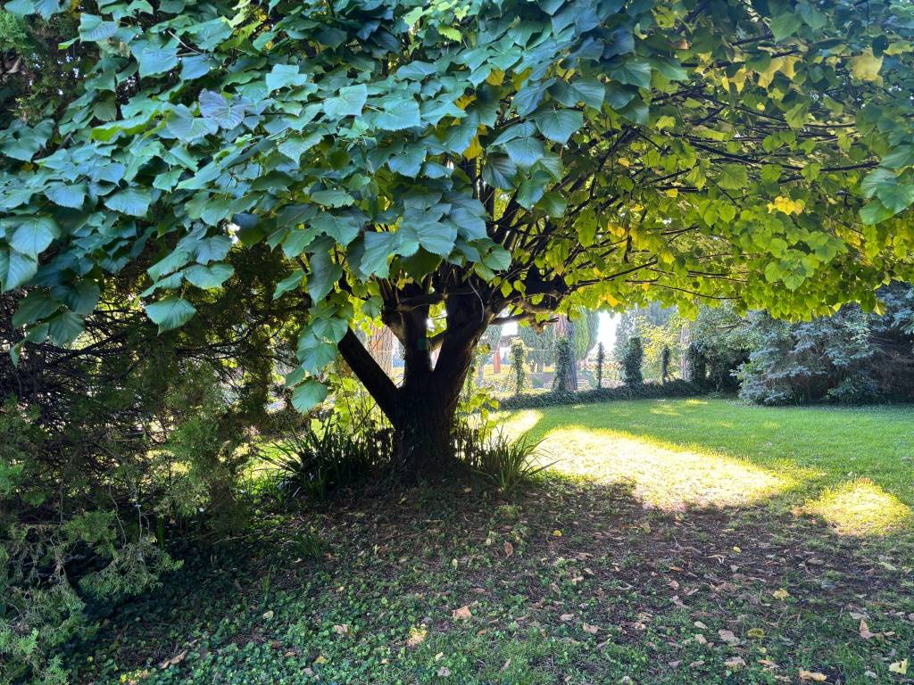 Villa a Aquileia in Via Gemina, 8 - Foto 3