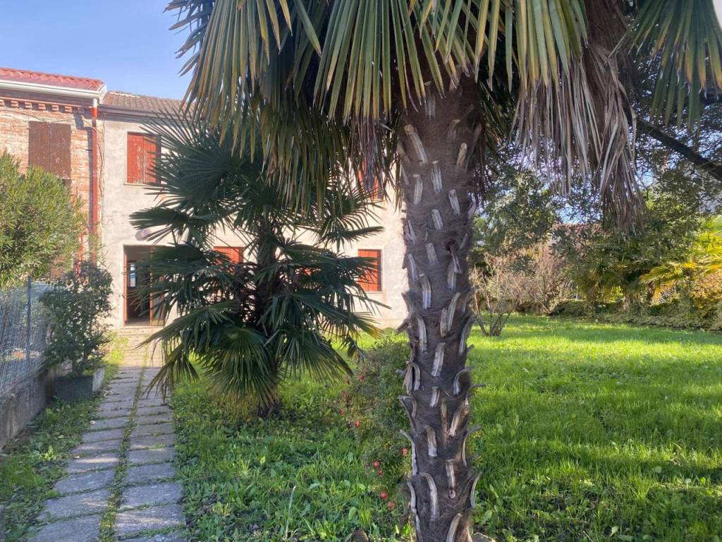 Villa a Veggiano in via chiesa - Foto 3