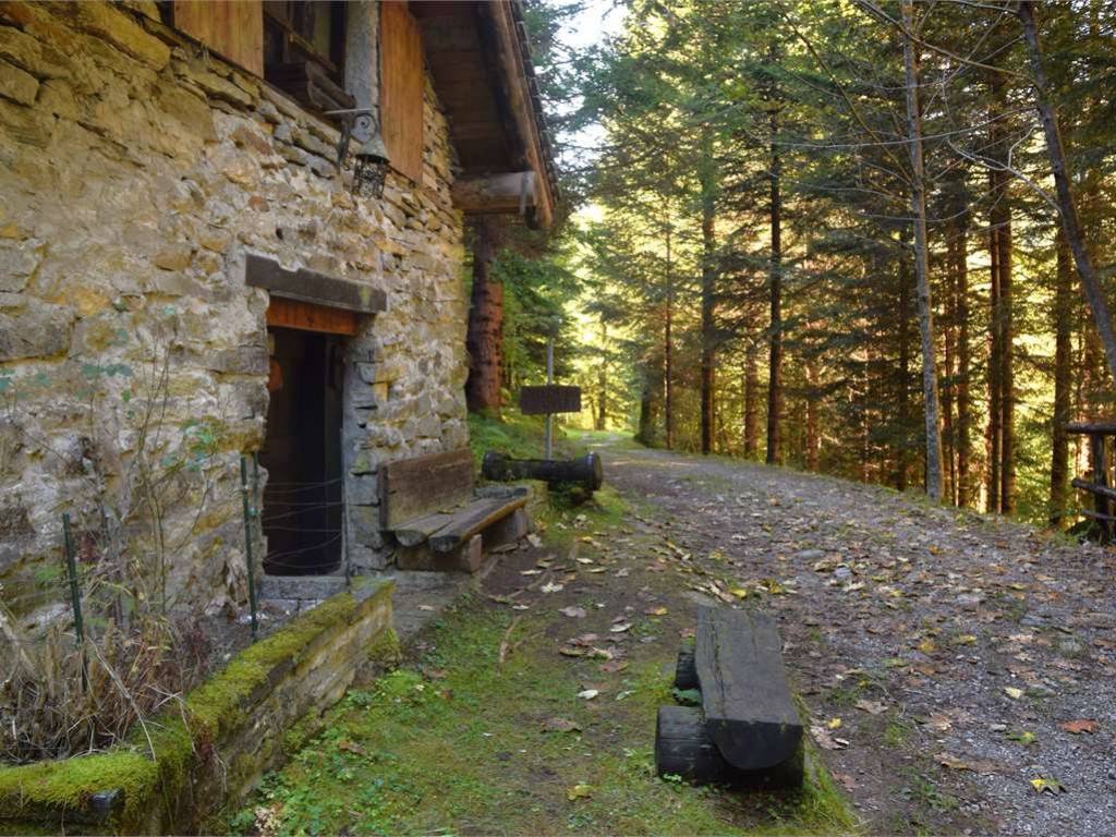 Rustico / casale a Ceppo morelli in Località Mondate, snc - Foto 4
