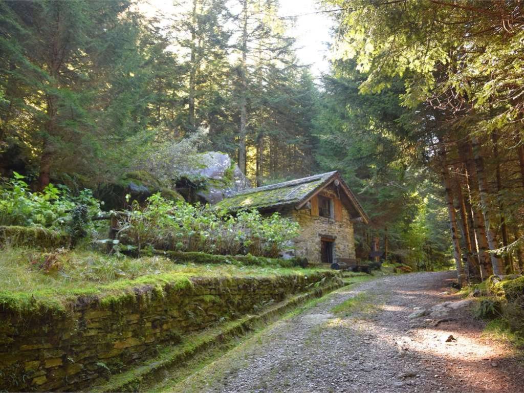Rustico / casale a Ceppo morelli in Località Mondate, snc - Foto 5