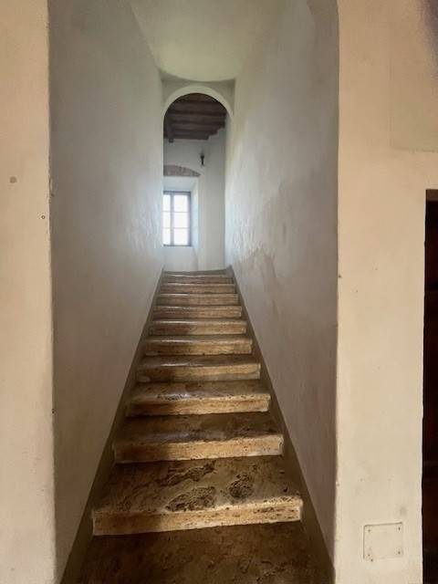 Rustico / casale a Roccastrada in Località Muccaia - Foto 5