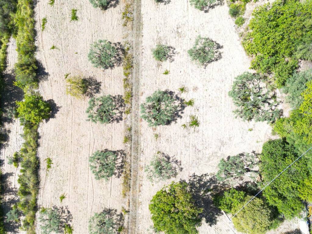 Terreno a Chiaramonte gulfi in Contrada Muti - Foto 5