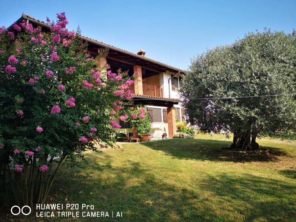 Rustico / casale a Buttigliera d'asti in Via Serra - Foto 2