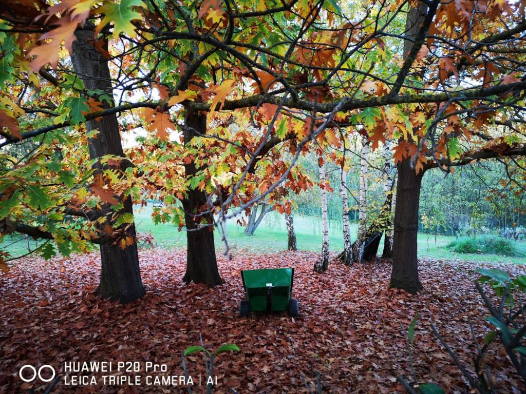 Rustico / casale a Buttigliera d'asti in Via Serra - Foto 5