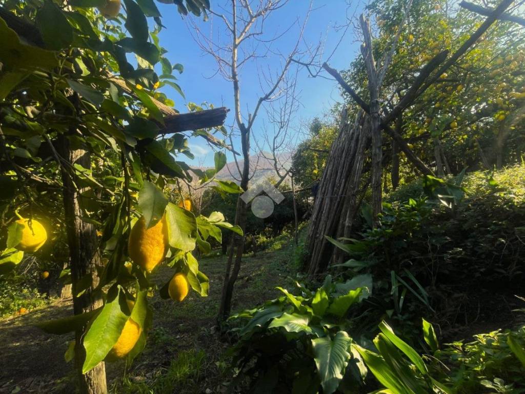 Terreno a Corbara in Via aldo moro - Foto 3