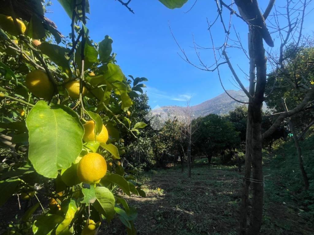 Terreno a Corbara in Via aldo moro - Foto 4