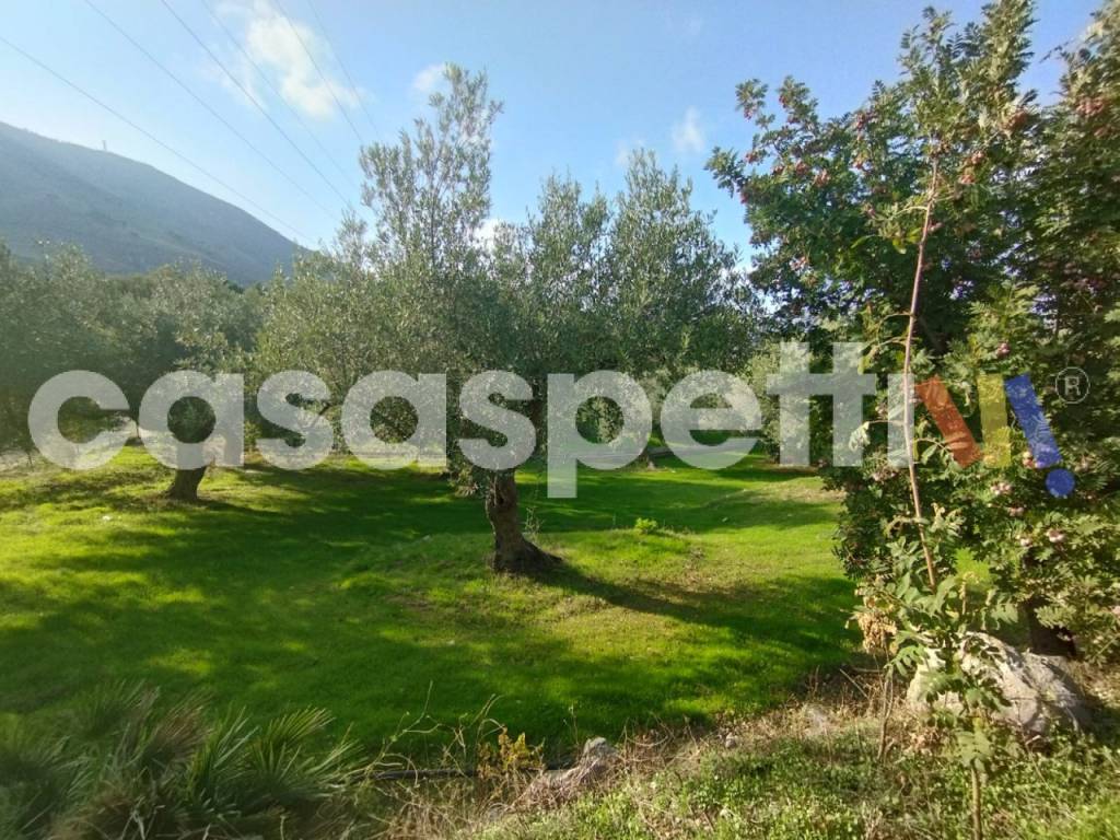Terreno a Altavilla milicia in Via Piano Sperone - Foto 3