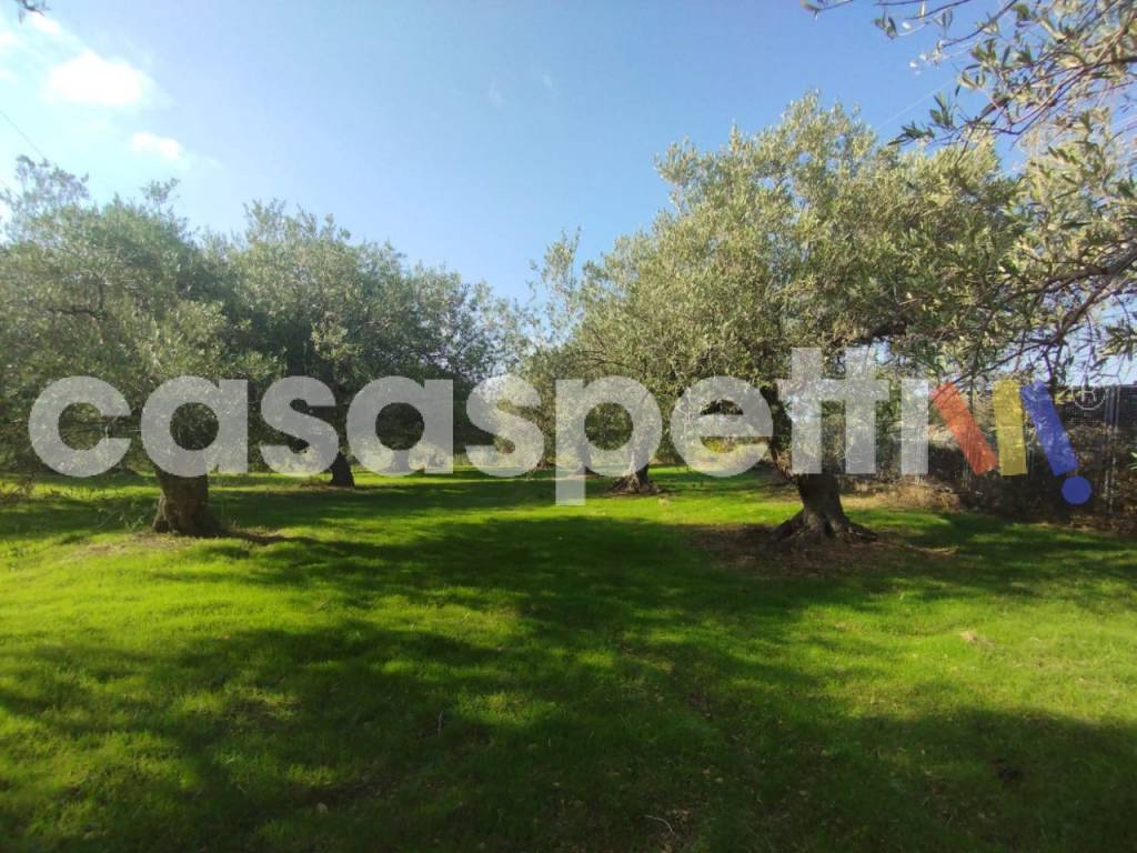 Terreno a Altavilla milicia in Via Piano Sperone - Foto 4