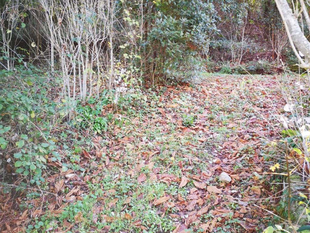 Rustico / casale a Dicomano - Foto 4