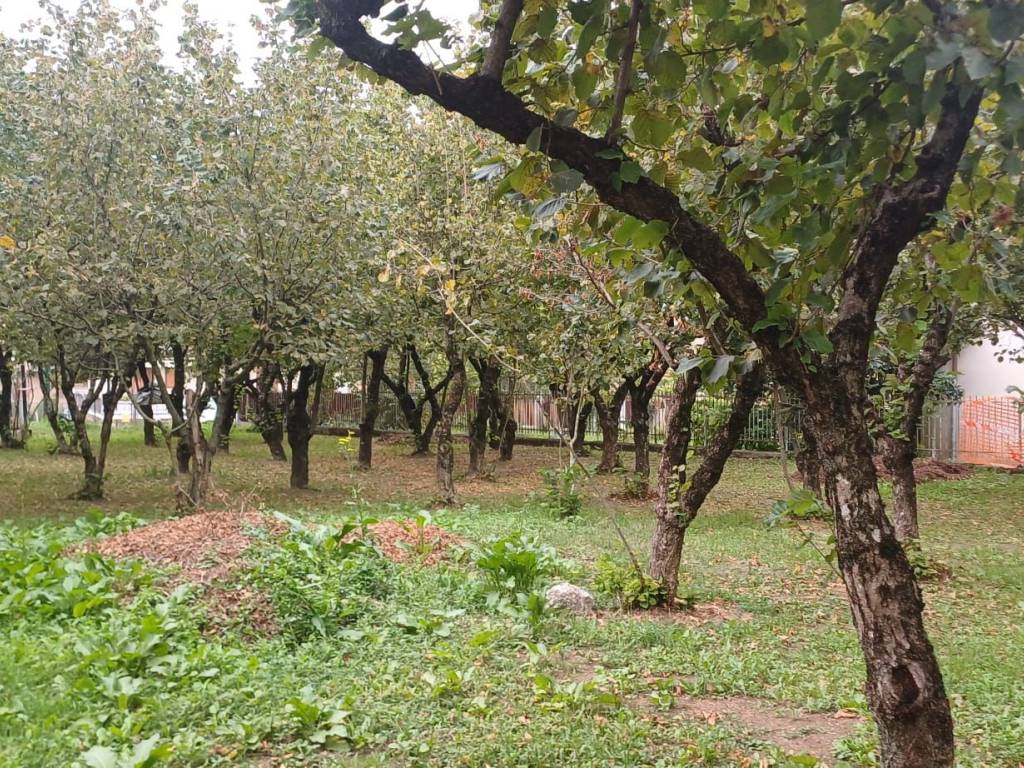 Terreno a Cesinali in Via Turci - Foto 5