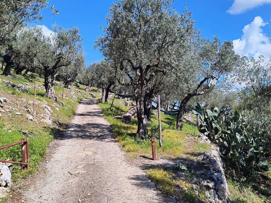 Terreno a Giffoni valle piana in Terravecchia - Foto 3