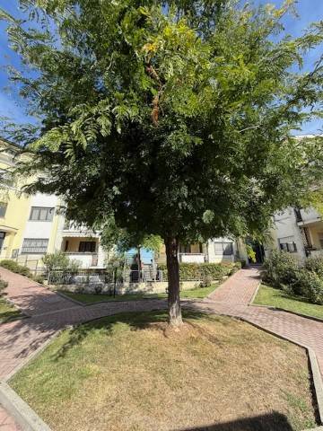 Appartamento a Parma in Strada Antina - Foto 2