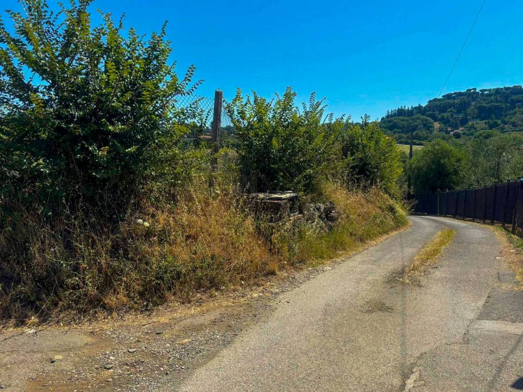 Terreno a Genzano di roma in Via Sforzesca - Foto 2