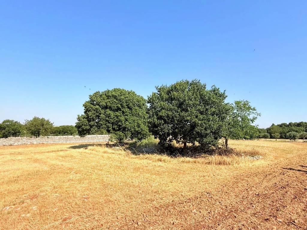 Rustico / casale a Noci in Zona G, 20 - Foto 5