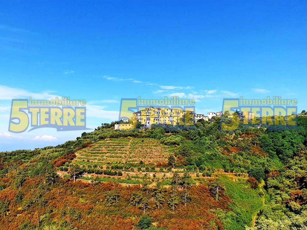Rustico / casale a Riomaggiore in SP51 - Foto 2