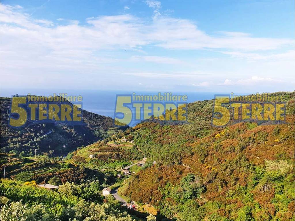 Rustico / casale a Riomaggiore in SP51 - Foto 3