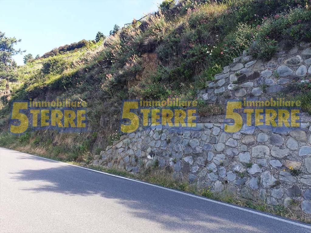Rustico / casale a Riomaggiore in SP51 - Foto 4