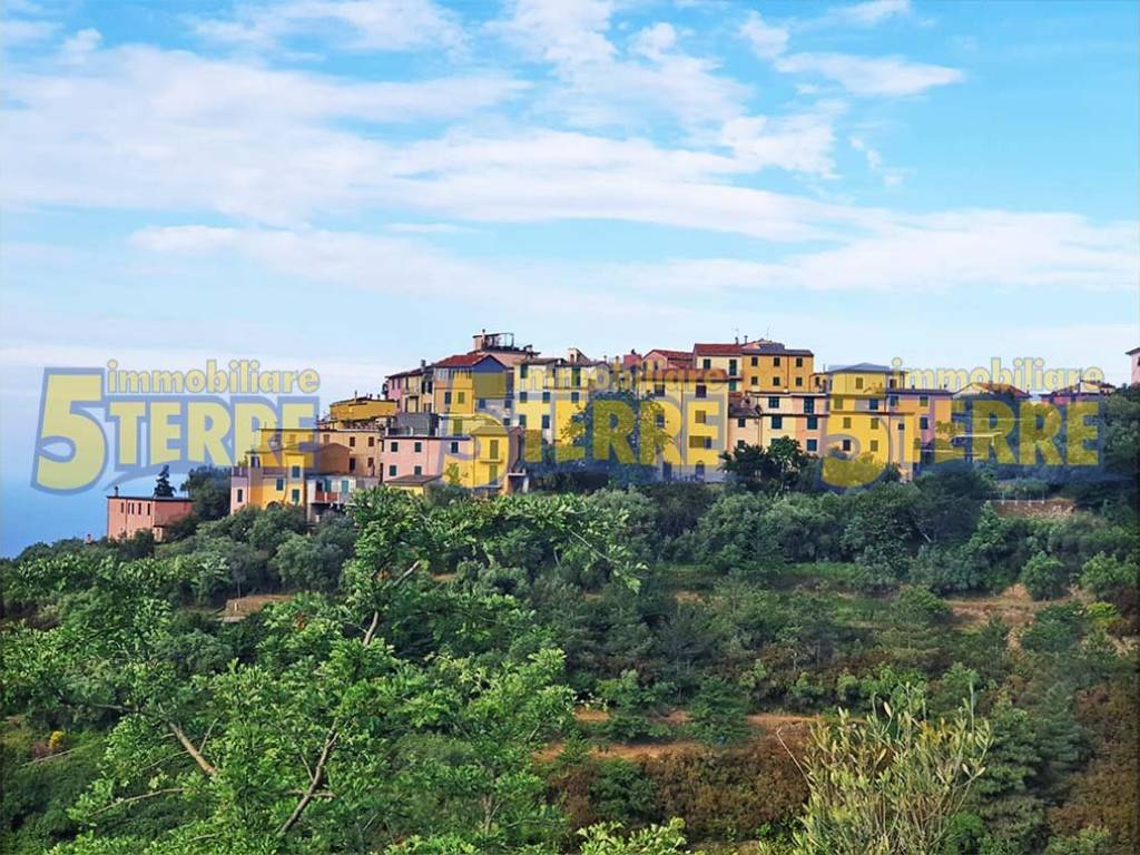 Rustico / casale a Riomaggiore in SP51 - Foto 5