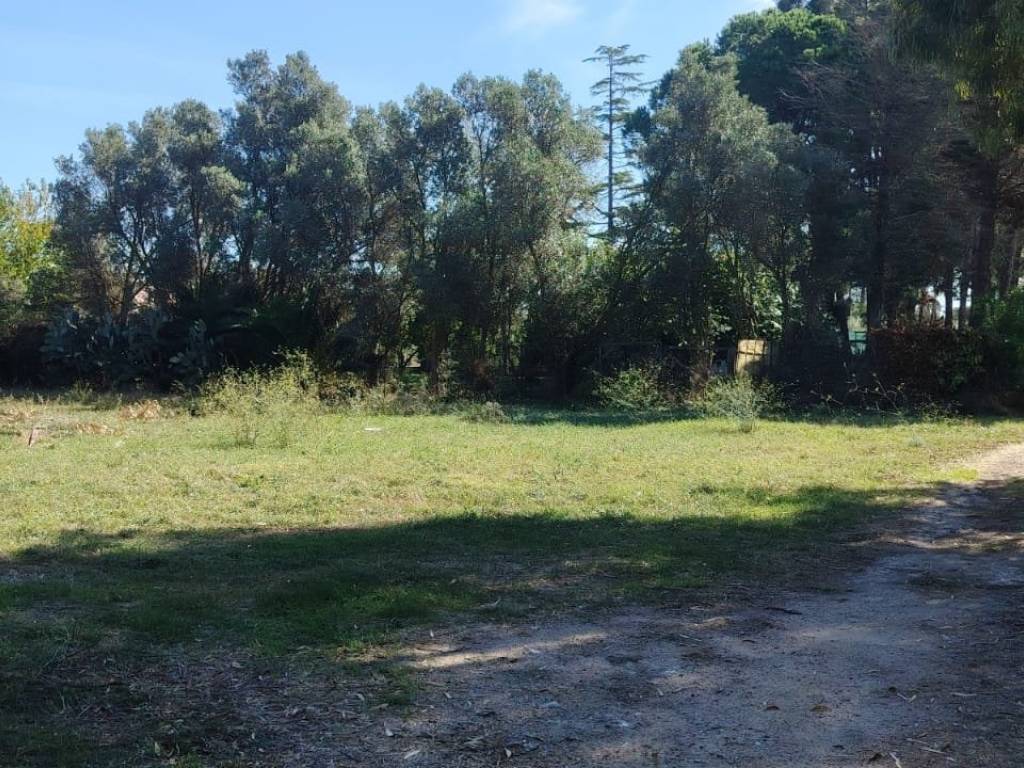Terreno a Elmas - Foto 3