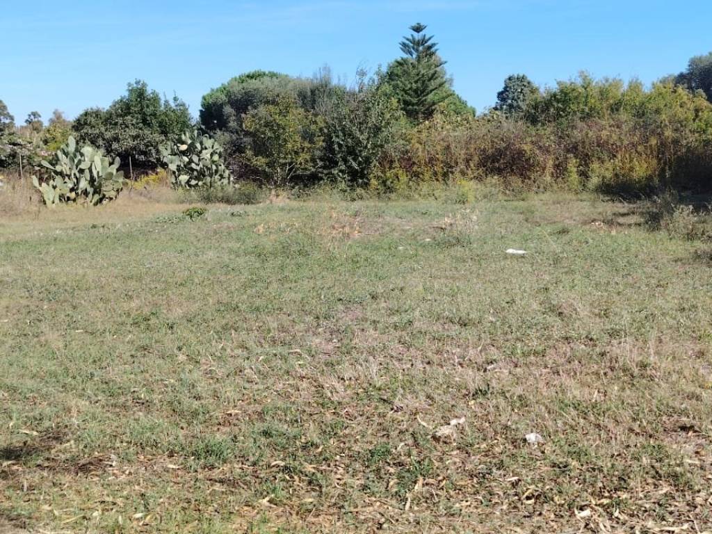 Terreno a Elmas - Foto 5