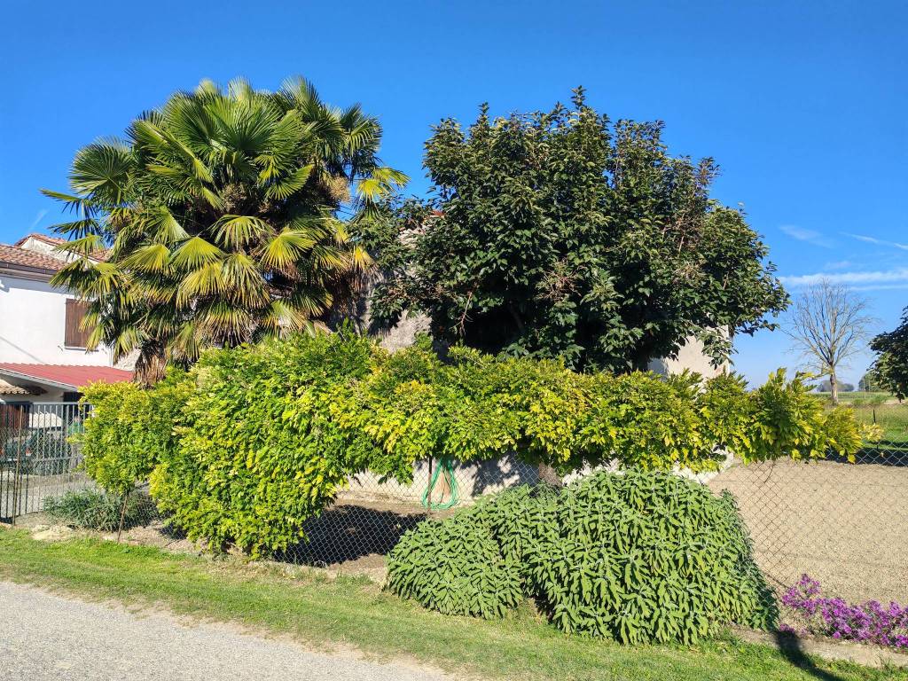 Casa indipendente a Motta baluffi - Foto 4