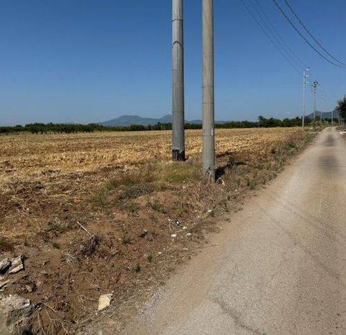 Terreno a Sessa aurunca in Via Domiziana 80 - Foto 3