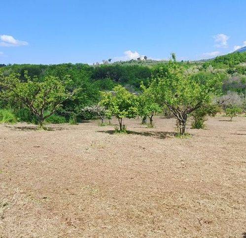 Terreno a Sessa aurunca in Ss7 173 - Foto 5
