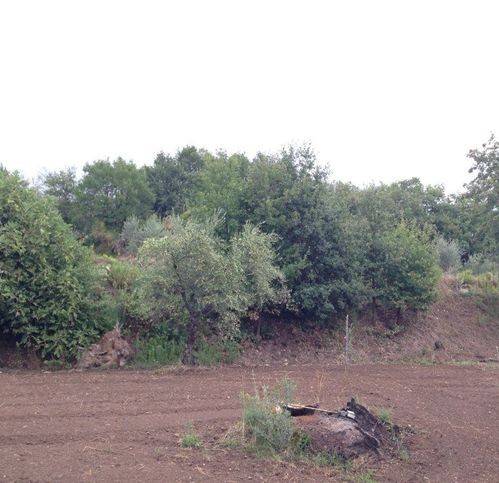 Terreno a Sessa aurunca in Sp14 - Foto 4