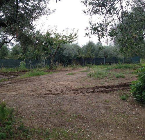 Terreno a Sessa aurunca in Sp14 - Foto 5