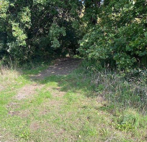 Terreno a Sessa aurunca in Strada Provinciale Roccamonfina - Valogno 3 - Foto 2