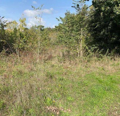 Terreno a Sessa aurunca in Strada Provinciale Roccamonfina - Valogno 3 - Foto 3