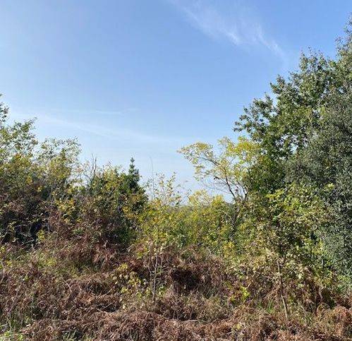 Terreno a Sessa aurunca in Strada Provinciale Roccamonfina - Valogno 3 - Foto 4