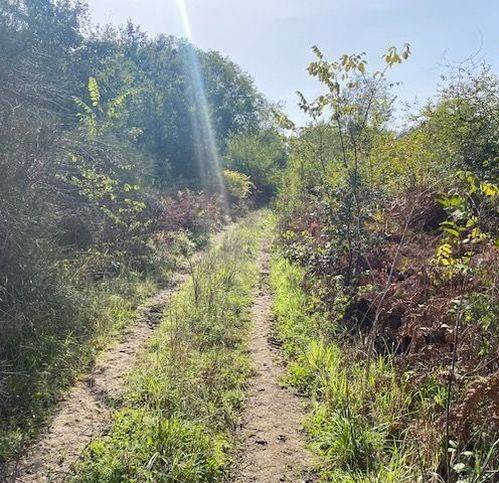 Terreno a Sessa aurunca in Strada Provinciale Roccamonfina - Valogno 3 - Foto 5