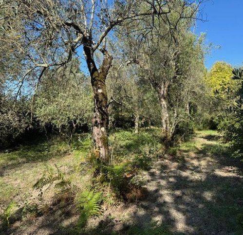 Terreno a Sessa aurunca in Strada Provinciale Roccamonfina - Valogno 14 - Foto 3