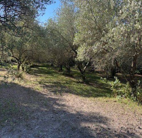 Terreno a Sessa aurunca in Strada Provinciale Roccamonfina - Valogno 14 - Foto 4