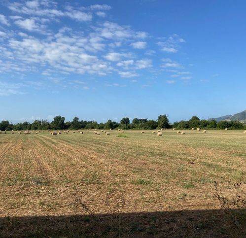 Terreno a Carinola in Santa Croce - Foto 2