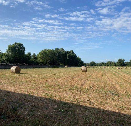Terreno a Carinola in Santa Croce - Foto 3