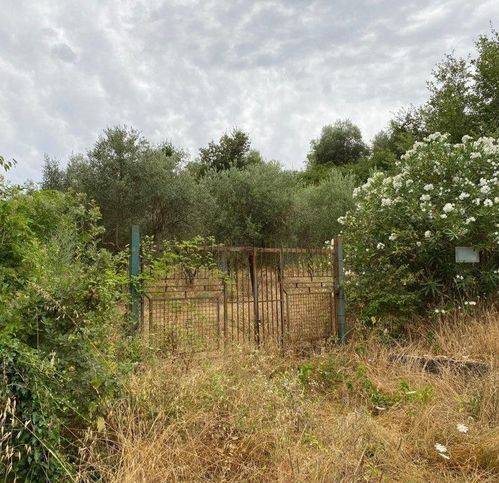 Terreno a Sessa aurunca in Strada Provinciale 292 - Foto 2