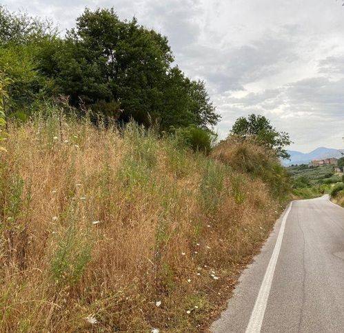 Terreno a Sessa aurunca in Strada Provinciale 292 - Foto 3