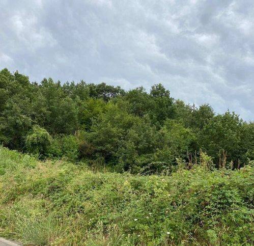 Terreno a Sessa aurunca in Strada Provinciale 292 - Foto 4