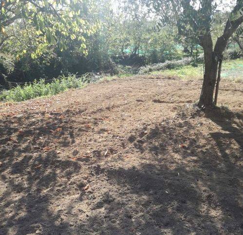 Terreno a Sessa aurunca in San Carlo - Foto 2