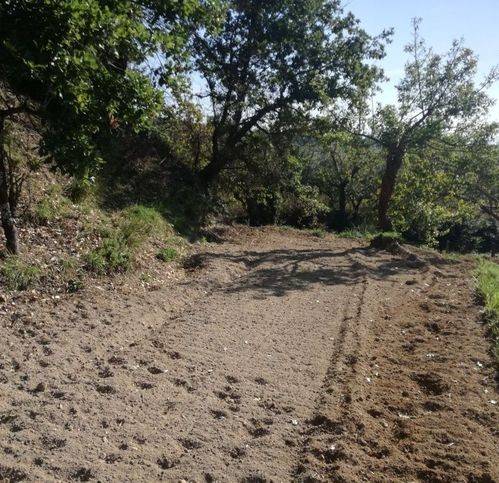 Terreno a Sessa aurunca in San Carlo - Foto 5