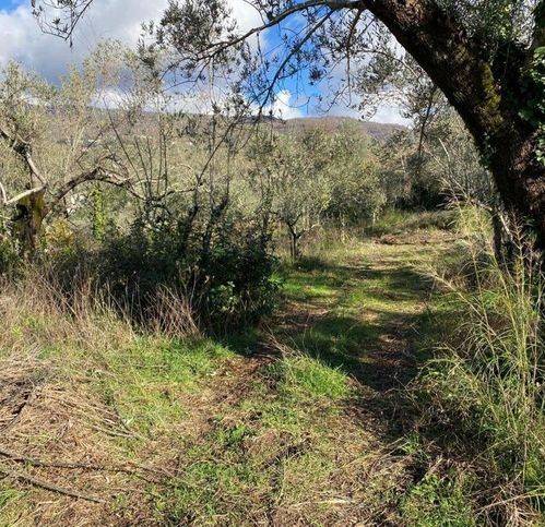 Terreno a Sessa aurunca in Via Xxi Luglio 52 - Foto 3