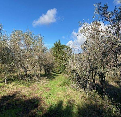 Terreno a Sessa aurunca in Via Xxi Luglio 52 - Foto 5